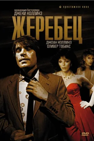 Жеребец 